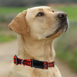 NFL Cincinnati Bengals Dog Collar