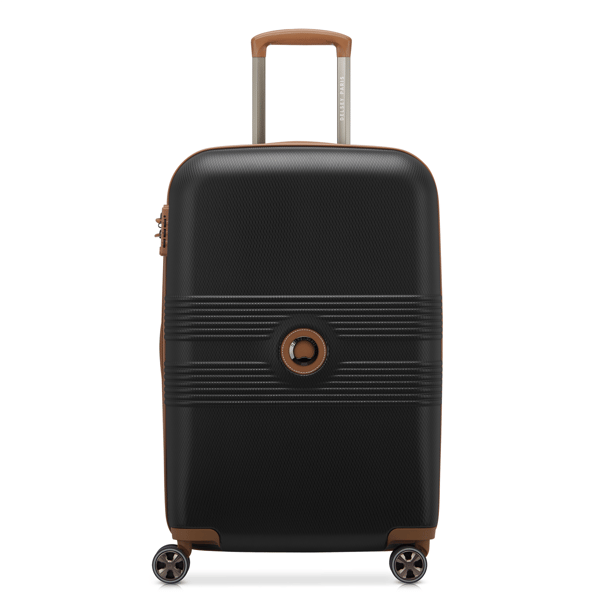 Delsey Paris Flanerie 24 Spinner Luggage - image 