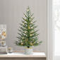 Puleo International 3ft. Pre-Lit Arctic Fir Christmas Tree - image 2