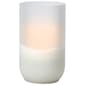 Illumaflame 8in. LED in Frosted Glass - image 1