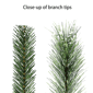 Puleo International 4.5ft. Pre-Lit Potted Pine Christmas Tree - image 7