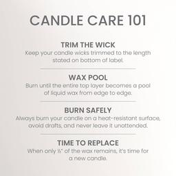 Yankee Candle® 14.25oz. Coconut Beach Pillar Candle