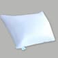Martha Stewart Softy Around Jumbo Pillow - image 1