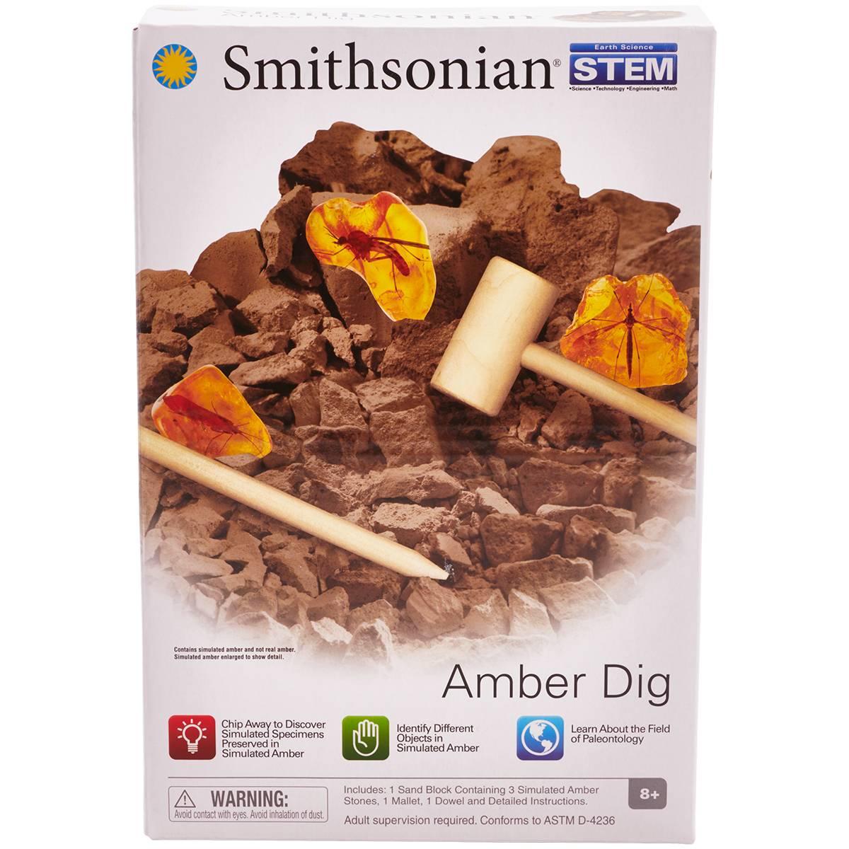Smithsonian Amber Dig Kit