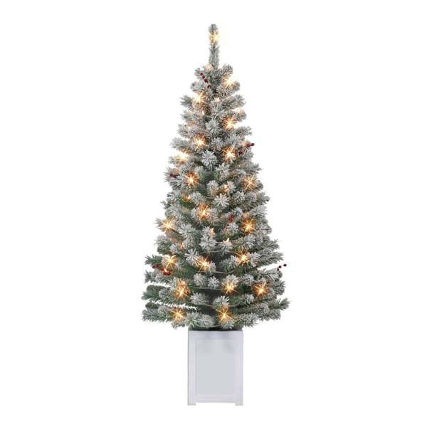 Puleo International 5ft. Pre-Lit Western Spruce Tree - Set of 2