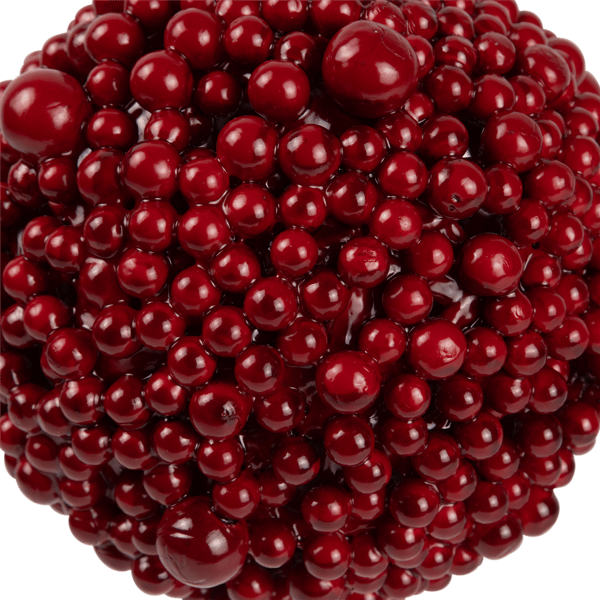 Northlight Shiny Berries Christmas Ball Ornament - 6in.
