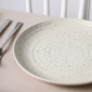 Stone Lain Dua 4pc. Stoneware Dinner Plate Set - image 2