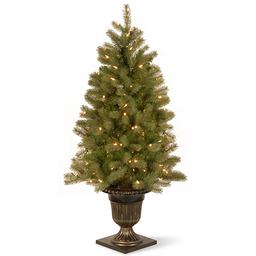 National Tree 4ft Downswept Douglas Fir Tree