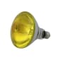 Northlight Seasonal 100 Watt Incandescent Floodlight Bulb - image 1