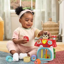 VTech®  Baby Put & Take Peek-A-Boo House