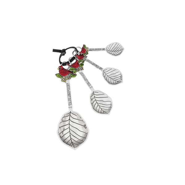 Ganz Cardinal Measuring Spoons -  Set of 4 - image 