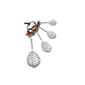 Ganz Cardinal Measuring Spoons -  Set of 4 - image 1