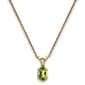 Gemstone Classics(tm) 14kt. Yellow Gold August Birthstone Necklace - image 1