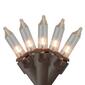 Northlight Seasonal 100ct. Clear Mini Christmas Light Set - image 1