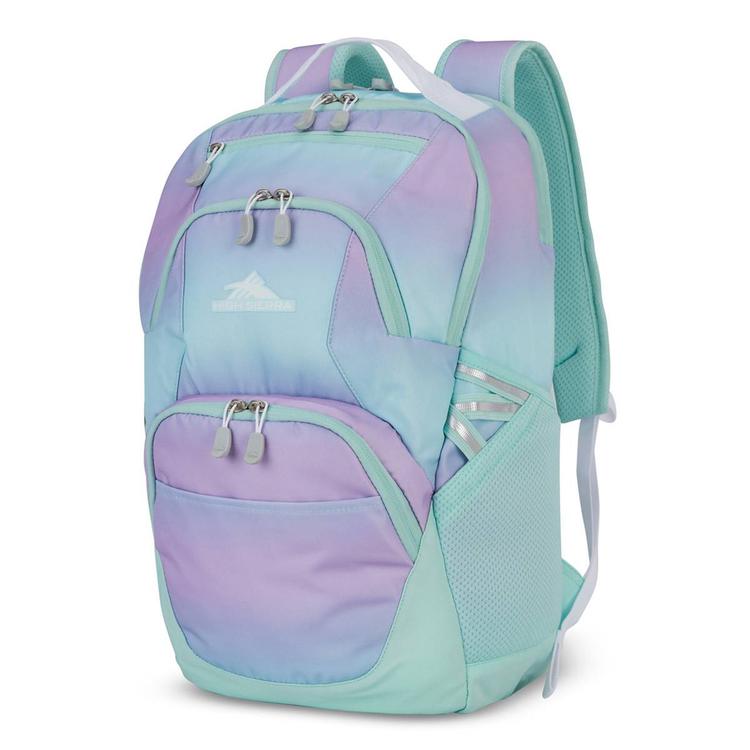 High Sierra(R) Ombre Swoop SG Backpack