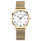 Womens BERING Titanium Ultra Light Easy Read Watch - 18634-334 - image 1