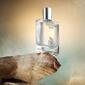 Stetson Spirit Cologne  - 1.7oz. - image 6