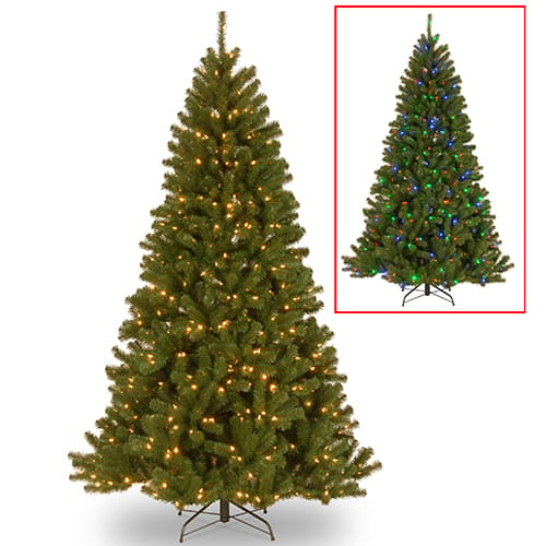 Open Video Modal for National Tree 9ft. N. Woods LED PowerConnect(tm) Tree