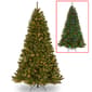 National Tree 9ft. N. Woods LED PowerConnect(tm) Tree - image 1