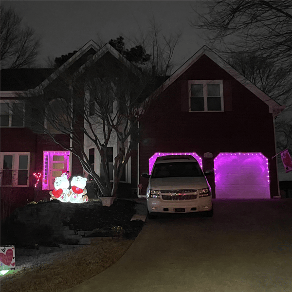 Northlight 16ft. 25ct. Pink LED C9 Christmas Lights