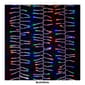 Kurt S. Adler 480-Light 15.7ft. LED Connectable Cluster Garland - image 10