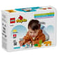 LEGO Duplo&#8482; Wild Animals Families Penguins & Lions Building Kit - image 9