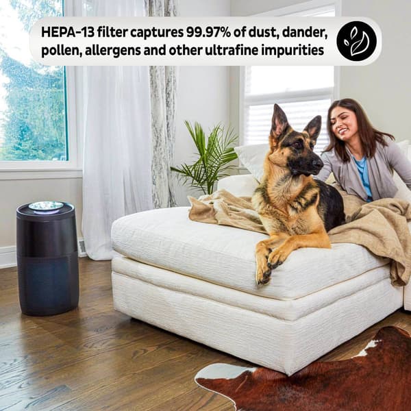 Instant&#8482; AP300 Air Purifier