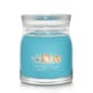Yankee Candle&#40;R&#41; Signature 13oz. Catching Rays&#40;tm&#41; Medium Jar Candle - image 1