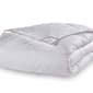 Wesley Mancini Collection Down Blend Jacquard Comforter - image 2
