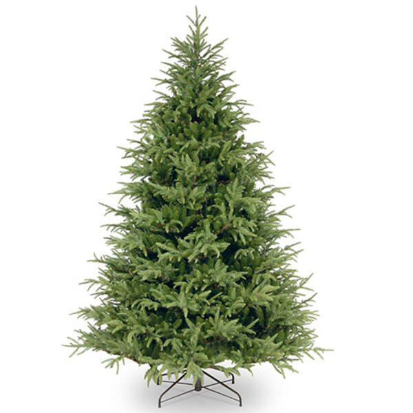 National Tree 7.5ft. Grande Fraser Tree - image 