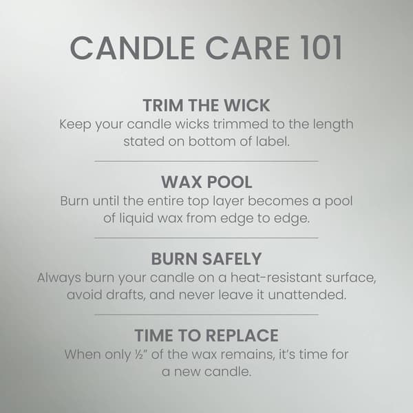 Yankee Candle&#174; Signature 22oz. Holiday Bayberry Jar Candle