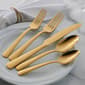 Oneida Aptitude Gold 20pc. Everyday Flatware Set - image 2