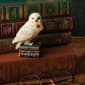 Jim Shore Harry Potter Hedwig Mini Figurine - image 2