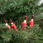 Northlight 10ft. Mini Clear with Red Tips Christmas Light Set - image 2