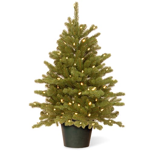 National Tree 3ft. Hampton Spruce Tree with Clear Lights - image 