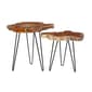 9th & Pike® Brown Teak Wood Contemporary Accent Table - Set of 2 - image 4