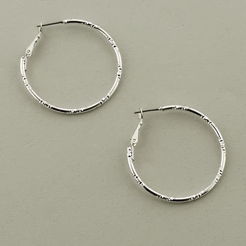 Freedom Nickel Free Pressed Clutchless Earrings - image 