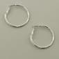 Freedom Nickel Free Pressed Clutchless Earrings - image 1