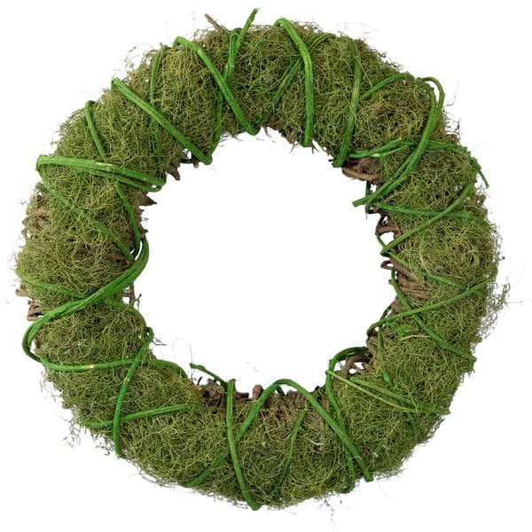 Northlight Seasonal Artificial Moss & Vine Spring Twig Wreath - image 
