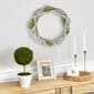 Northlight Seasonal Birch Twig Green Moss Artificial Wreath - image 2
