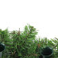 Northlight Seasonal 12in. Christmas Advent Candle Ring - image 4