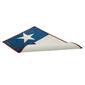 Avanti Texas Flag Bath Rug - image 2