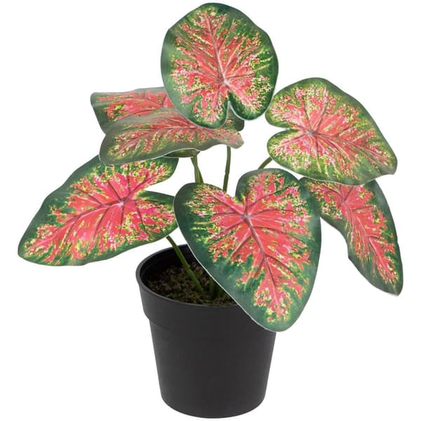 Northlight Seasonal 8in. Artificial Rohdea Potted Plant