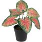 Northlight Seasonal 8in. Artificial Rohdea Potted Plant - image 3