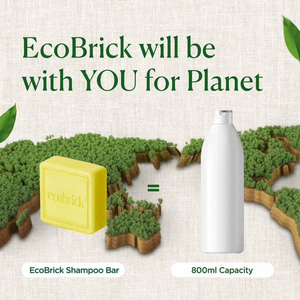 EcoBrick Mild Acidic Damaged Hair Care Shampoo Bar