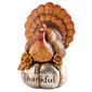 Evergreen Decorative Be Thankful Turkey - image 1