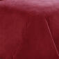 Truly Soft Velvet Plush Throw Blanket - image 2