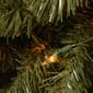 National Tree 24in. Clear Lights Fir Wreath - image 3