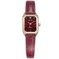 Womens Ellen Tracy Diamond Burgundy Strap Watch - ETD5472RG - image 1
