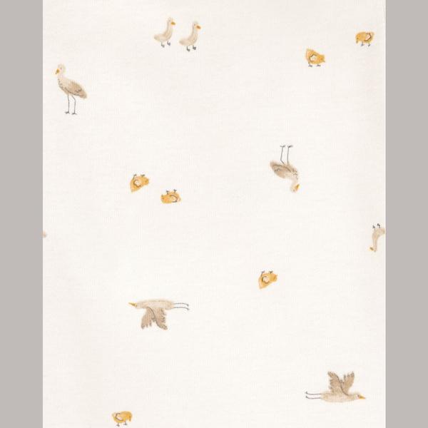 Baby Unisex (NB-24M) Carters(R) 5pk. Free to Fly Bodysuits alternate view